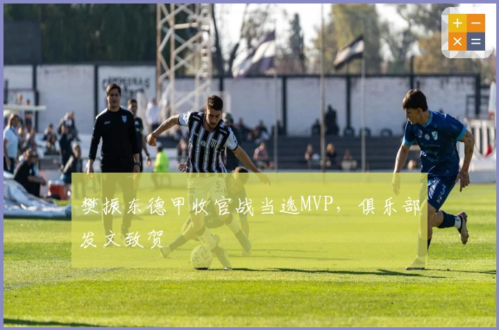 樊振东德甲收官战当选MVP，俱乐部发文致贺