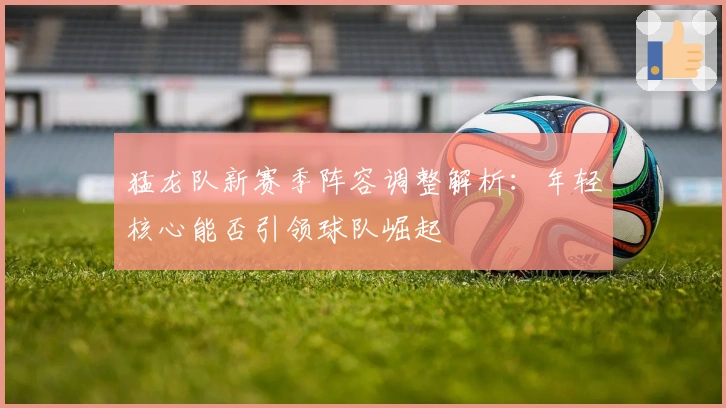 猛龙队新赛季阵容调整解析：年轻核心能否引领球队崛起