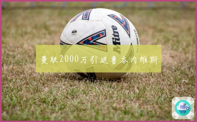 曼联2000万引进鲁本内维斯